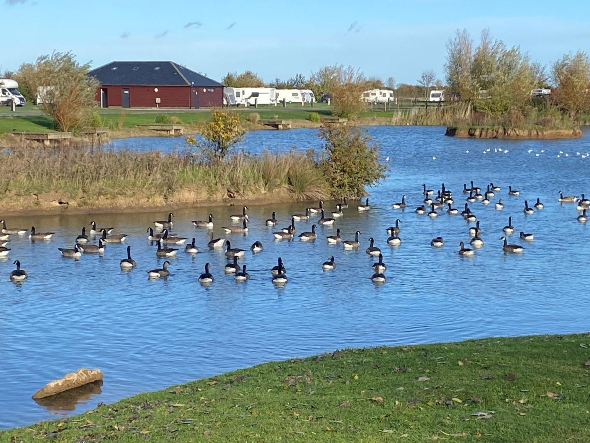 Holiday home 40a Oak Village- 2 Bedroom On Grange Leisure Park *